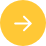 fin capital arrow